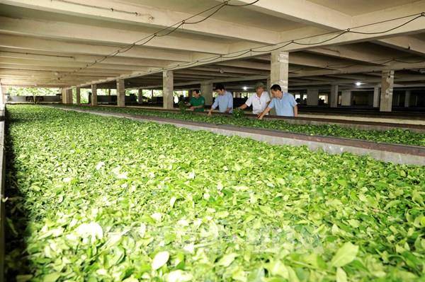 Tạo sức hấp dẫn mới cho đầu tư vào nông nghiệp