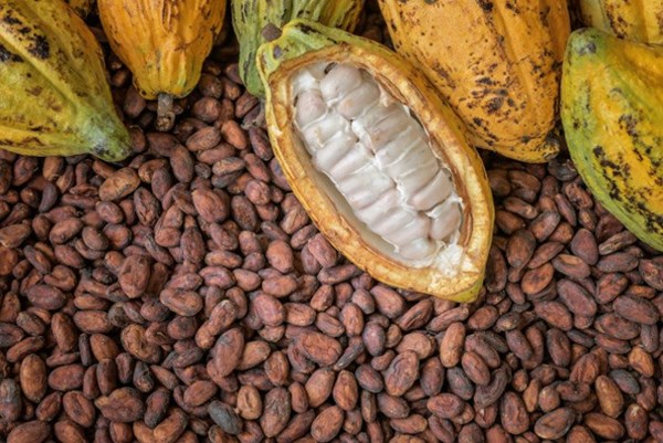 Giá nông sản hôm nay 27/9