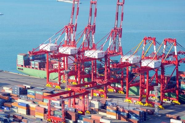 OECD hạ dự báo tăng trưởng kinh tế Hàn Quốc năm 2025