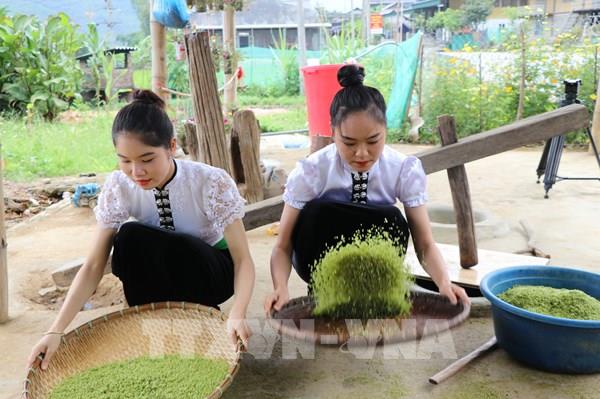 Dẻo thơm hương nếp Tú Lệ