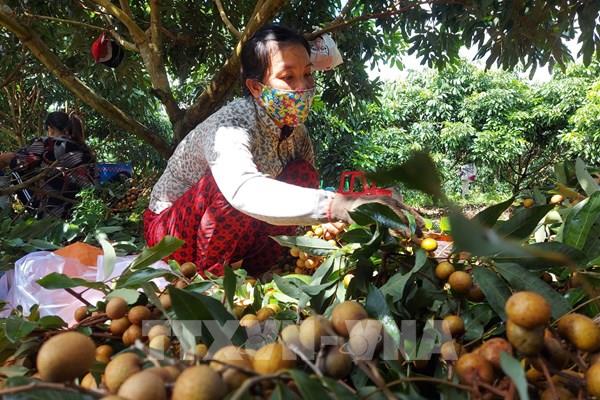 Lưu thông - mắt xích phục hồi sản xuất