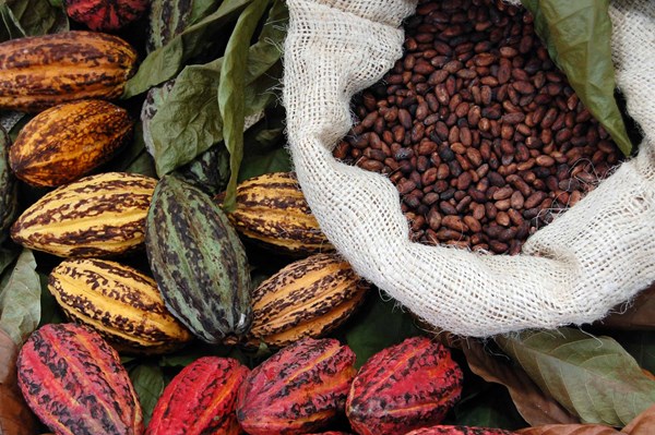 Giá nông sản hôm nay 30/9