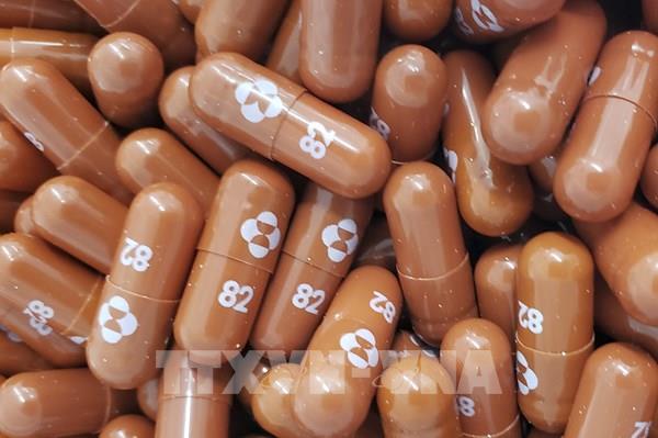 Doanh nghiệp dược phẩm Mỹ - Nhật hợp tác phát triển thuốc điều trị ung thư