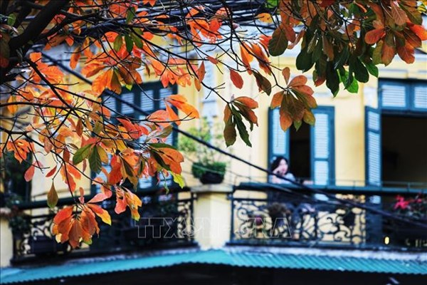 Ăn "sập" phố cổ khi thủ đô hết giãn cách!