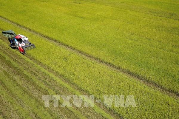 Giảm phát thải trong sản xuất lúa ở Đồng bằng sông Cửu Long
