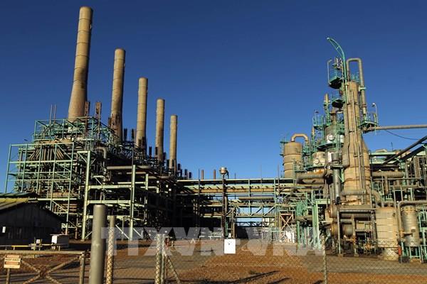 Giá dầu thế giới tuần qua tăng mạnh sau cuộc họp của OPEC+