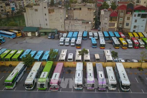 Thông tin mới nhất về tình hình hoạt động của xe buýt ở Hà Nội và Tp. Hồ Chí Minh