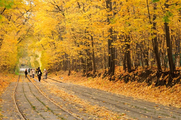 Rực rỡ mùa thu vàng nước Nga