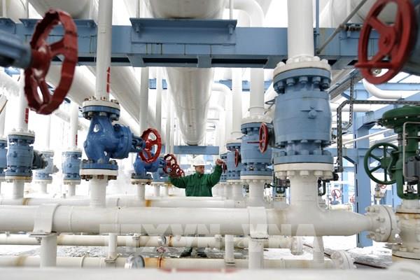 IMF: Thị trường năng lượng dự kiến đi xuống từ đầu năm 2022