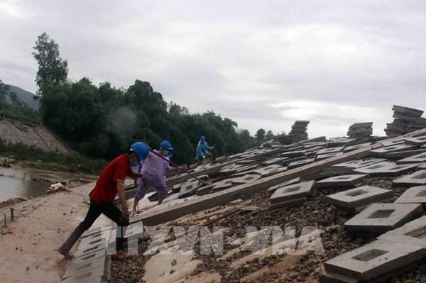 Bình Định gấp rút thi công công trình đập dâng, kè chống sạt lở
