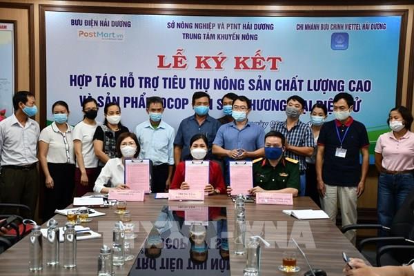 Hải Dương đưa sản phẩm OCOP lên sàn thương mại điện tử