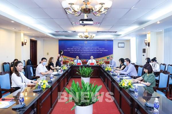 Kết nối đưa trái cây của các hợp tác xã tới thị trường tiềm năng