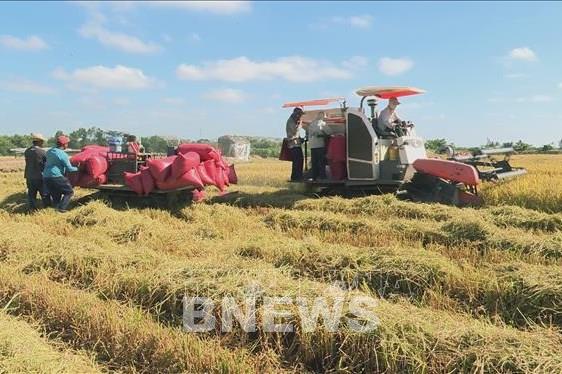 Mặc dù dịch, một số chỉ tiêu kinh tế của Sóc Trăng vẫn đạt cao 