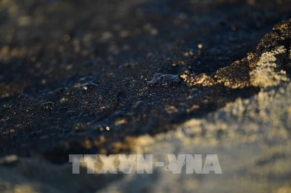 Ít nhất 1.200 thùng dầu thô tràn ra bãi biển nổi tiếng tại Ecuador