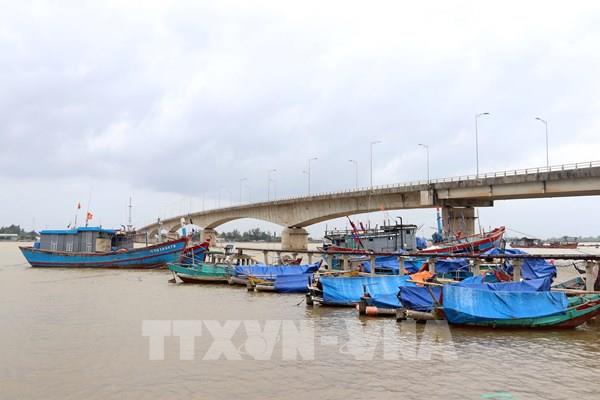 Bão số 7: Đảm bảo an toàn cho ngư dân và sản xuất nông nghiệp