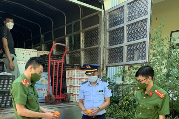 Kiểm tra, phát hiện 2,3 tấn hoa quả tươi không rõ nguồn gốc xuất xứ 