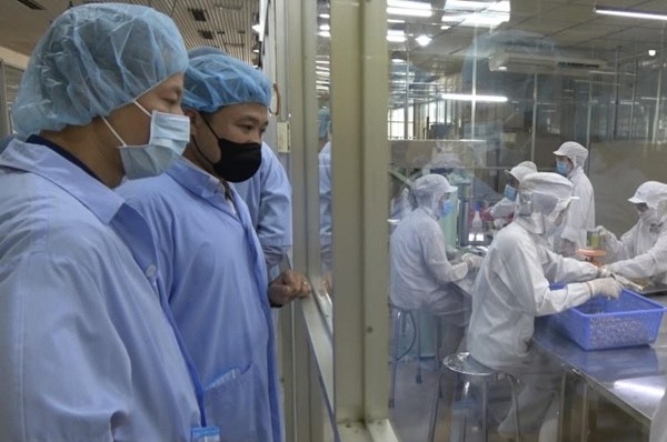 Hạn chế vi phạm trong an toàn thực phẩm