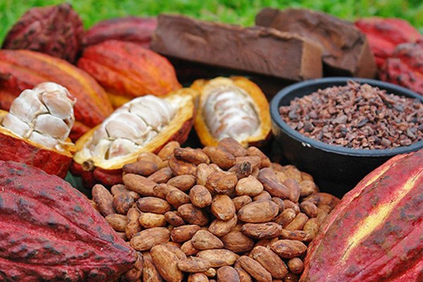 Giá nông sản hôm nay 12/10