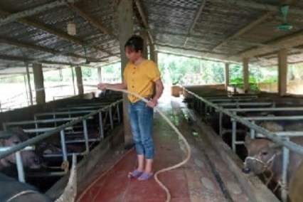 Tỷ phú vùng biên