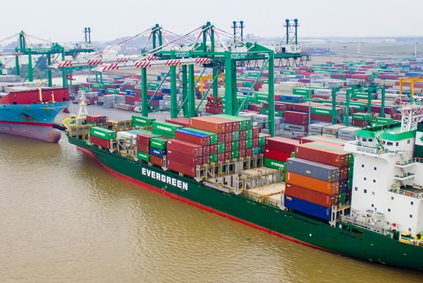 Viconship chốt quyền mua 55 triệu cổ phiếu giá 10.000 đồng/cp