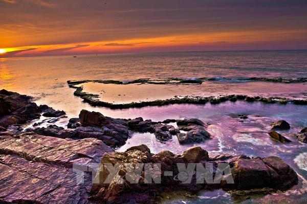 Khu dự trữ sinh quyển Núi Chúa (Ninh Thuận) đang là điểm thu hút khách du lịch