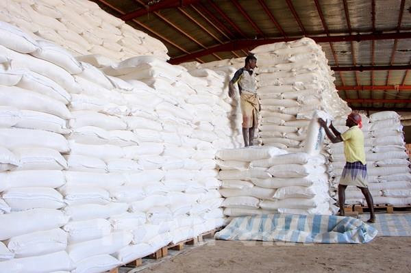 Giá lương thực thế giới lên mức cao nhất trong lịch sử 61 năm