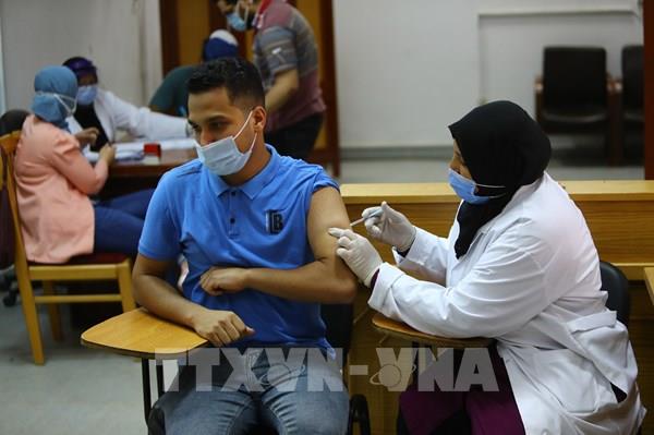 Ai Cập siết chặt quy định phòng dịch tại cơ quan nhà nước