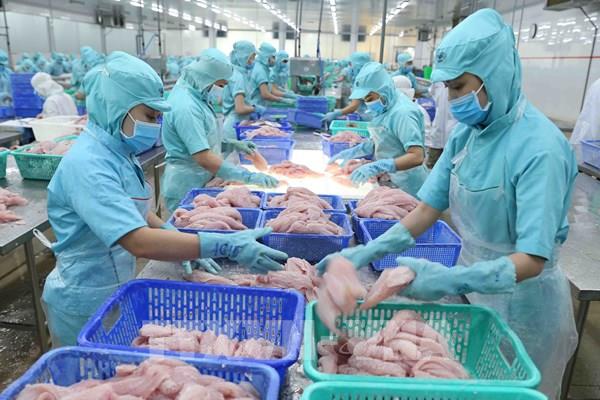 Kim ngạch xuất nhập khẩu tiến gần tới mốc kỷ lục 600 tỷ USD