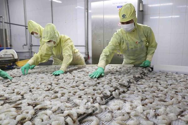 Dự báo xuất khẩu thủy sản năm nay chỉ đạt 8,4 tỷ USD