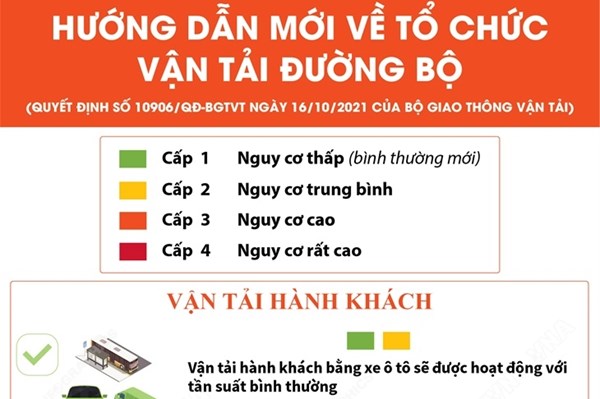 Hướng dẫn mới nhất về tổ chức vận tải đường bộ