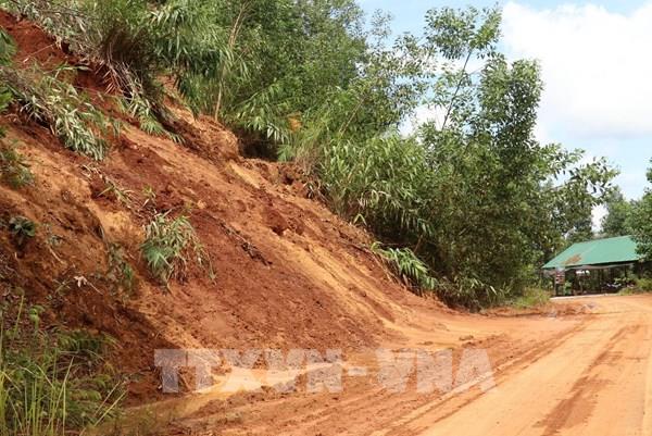 Tuyến đường độc đạo Bình Phước - Lâm Đồng liên tục bị sạt lở