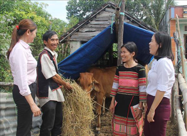 Chỉ thị số 40 trên miền đất võ Bình Định