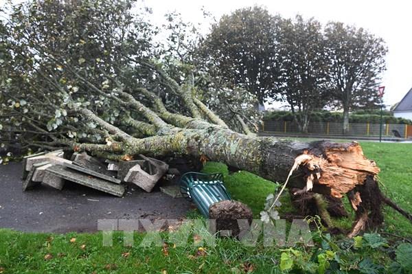 Pháp: Bão mạnh gây mất điện và gián đoạn giao thông