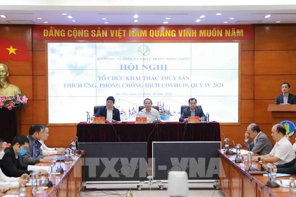Thích ứng an toàn, linh hoạt để chuỗi khai thác thủy sản trở lại bình thường mới