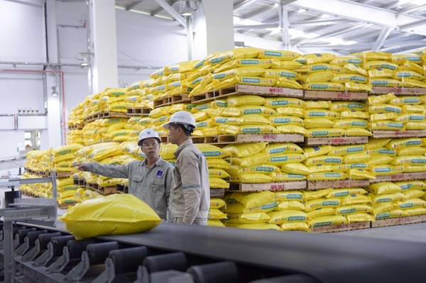Kinh doanh phân bón NPK Phú Mỹ tăng 77% so với cùng kỳ