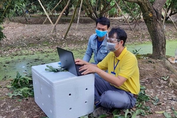 Nông dân đẩy mạnh tiêu thụ nông sản trên sàn thương mại điện tử