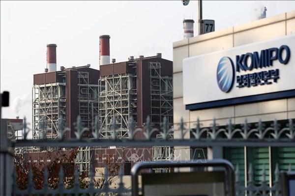 Chuyên gia nhận định về triển vọng chuyển đổi năng lượng tại Hàn Quốc