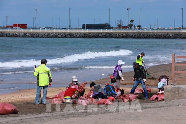 Đảo du lịch nổi tiếng Hàn Quốc xem xét áp dụng thuế du lịch sinh thái