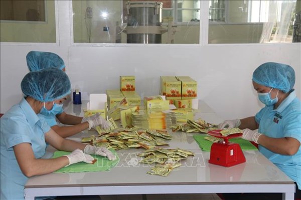 Phát triển kinh tế hợp tác làm nòng cốt đổi mới tam nông