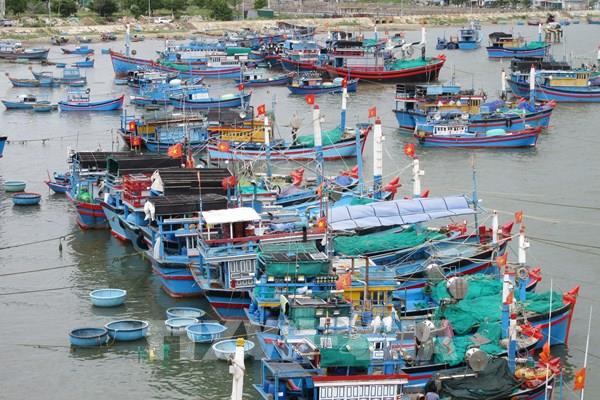 Ninh Thuận cấm tàu thuyền ra khơi từ 20 giờ ngày 25/10