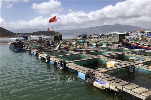 Phát triển nuôi trồng thủy sản trên biển thành ngành sản xuất quy mô lớn