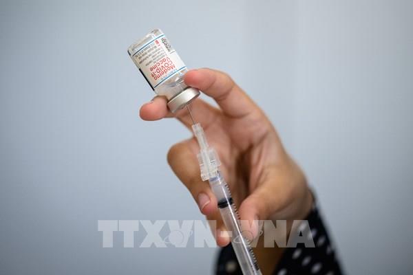 EU sẽ sớm đưa ra quyết định về việc tiêm vaccine cho trẻ từ 6-11 tuổi