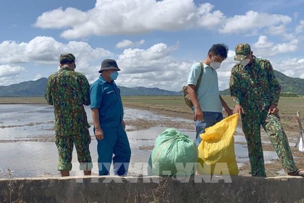 An Giang bắt 2 vụ vận chuyển trái phép hơn 21 kg thảo mộc nghi là cần sa