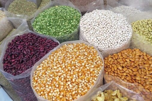 Italy ngăn chặn Syngenta của Trung Quốc mua lại công ty hạt giống rau