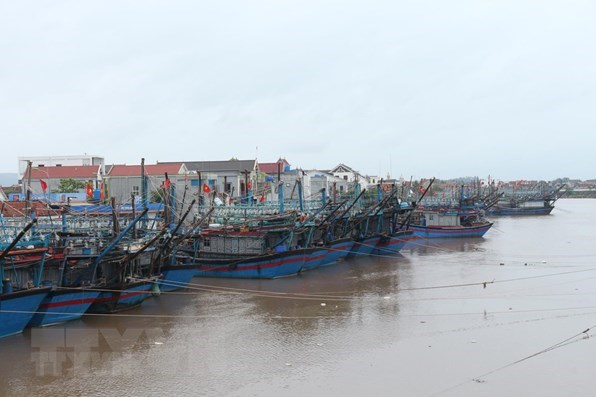 Ứng phó với áp thấp nhiệt đới: Bình Thuận cấm tàu thuyền ra khơi từ sáng 26/10