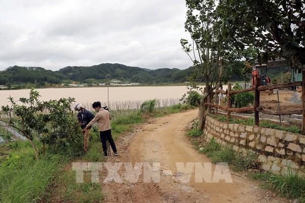 Phản hồi TTXVN: Lâm Đồng xác định 78% số cột mốc bảo vệ hồ Pró bị mất