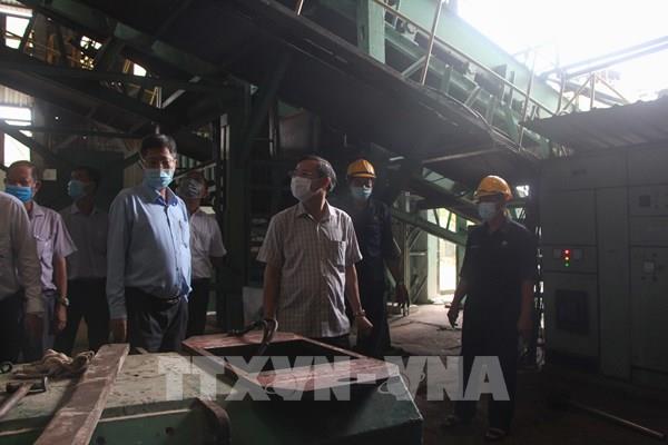 Khẩn trương xác định giá thành để CASUCO sớm quyết định giá thu mua mía cho dân