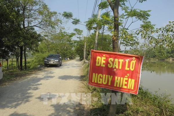 Đê Hữu Đáy và Tả Bùi hư hỏng, xuống cấp nghiêm trọng