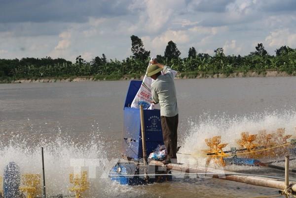 Cắt giảm, đơn giản hóa nhiều thủ tục hành chính lĩnh vực nông nghiệp