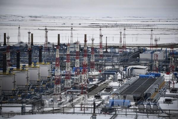 Giá khí đốt ở châu Âu giảm nhờ nguồn cung phong phú từ Nga